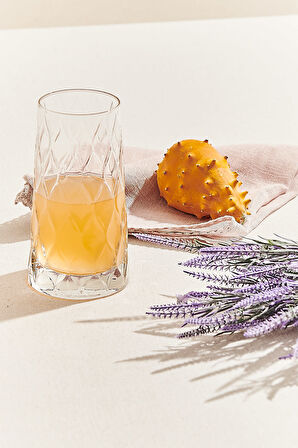 Leafy Meşrubat Bardağı 450 CC