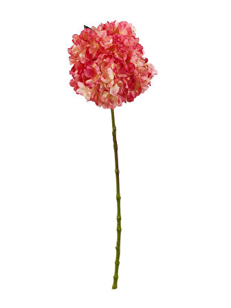 Ortanca 60 cm Pembe