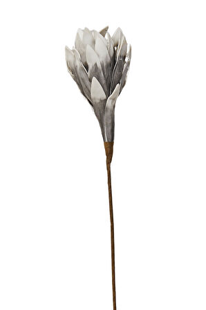 Yıldız Çiçeği 90 cm Gri