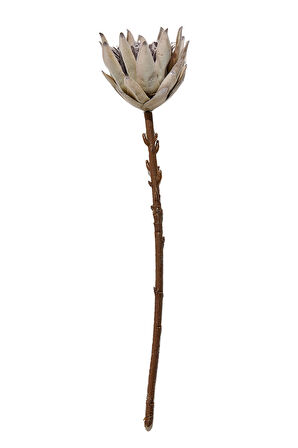 Protea 50 cm Yeşil