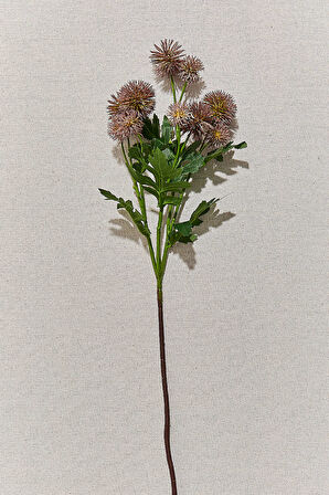 Karahindiba 56 cm Mor