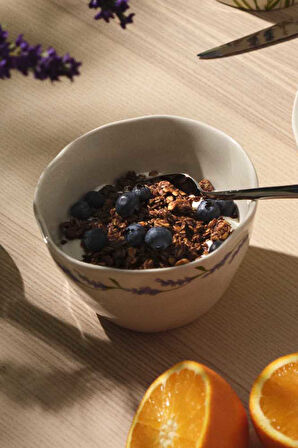 Lavander Seramik Salata Kasesi