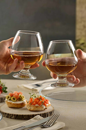 Bistro Konyak Kadehi 395 cc