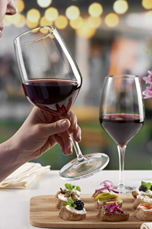 Napa Şarap Kadehi 580 cc