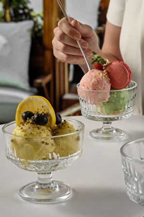 Echo Dondurma Kabı 240 cc