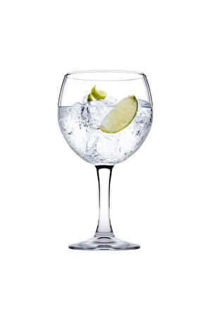 Moda Ayaklı Kokteyl Bardağı 570 cc