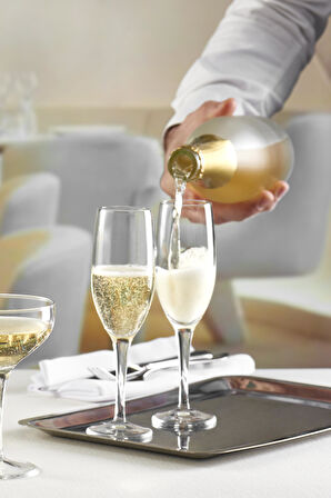  Moda Şampanya Kadehi 165 cc