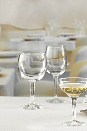  Moda Şarap Kadehi 330 cc