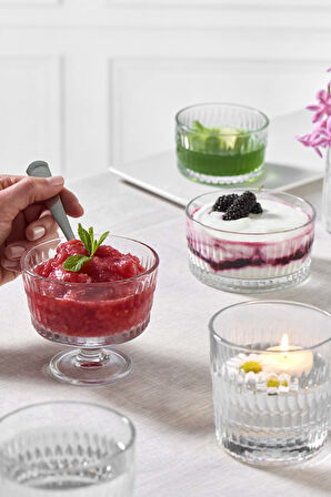  Rain Dondurma Kabı 240  cc