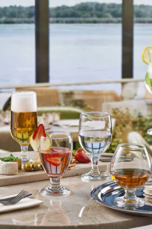  Capri Kokteyl Bardağı 290 cc