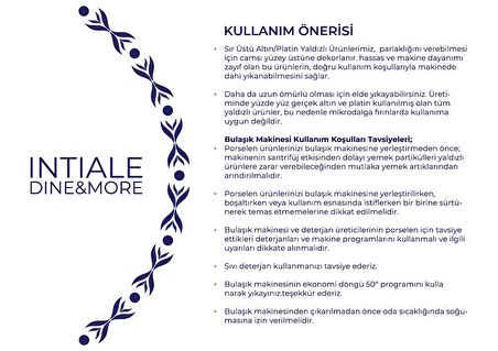 Intiale Arras Porselen Makarna Tabağı 27cm Platin Yaldız