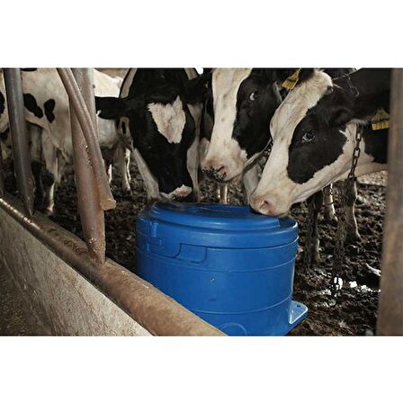 Farmena Donmaz Suluk 40 Litre