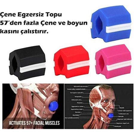 Çene Egzersiz Topu Çene Çizgisi Güçlendirici