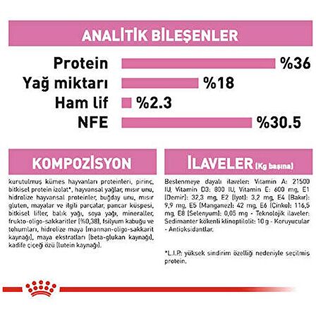 Royal Canin Yavru Kedi Maması 10 Kg 