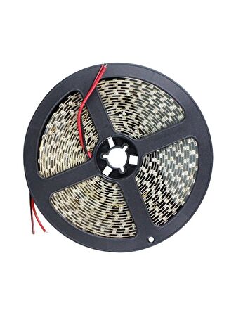 Cata Şerit LED 10 Çipli Gün Işığı Işık 5mt CT-4481