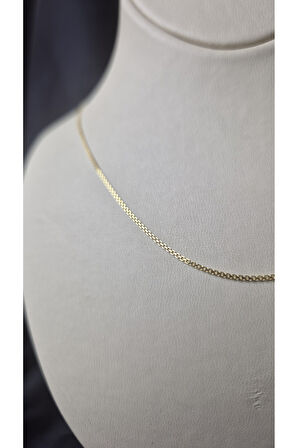 14 Ayar Altın İnce Bismark Parlak Kolye