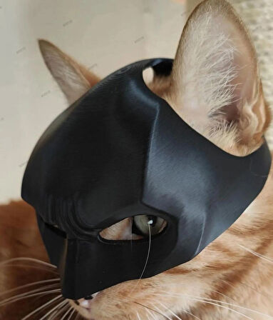 Batman Kedi Maskesi 