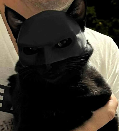Batman Kedi Maskesi 