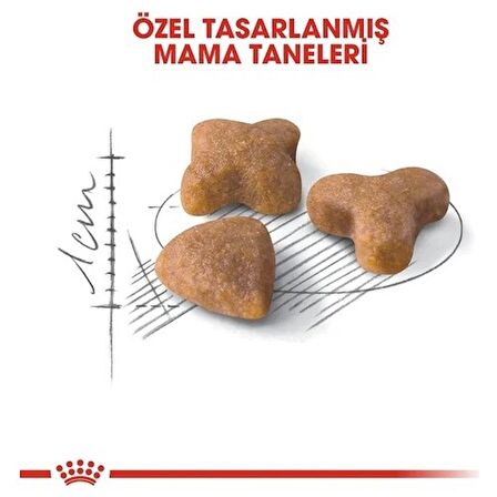 Royal Canin Sensible 33 Hassas Yetişkin Kedi Maması 2 Kg