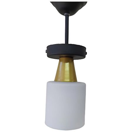 Mylight Modern Avize