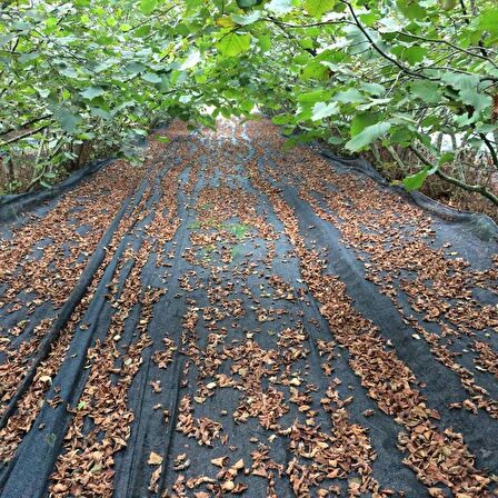 4x8 METRE FINDIK SERGİSİ FINDIK TOPLAMA FİLESİ FINDIK KURUTMA ÖRTÜSÜ 40'LIK GÖLGELİK FINDIK ALTI FİLE HASAT TABAN ÖRTÜSÜ