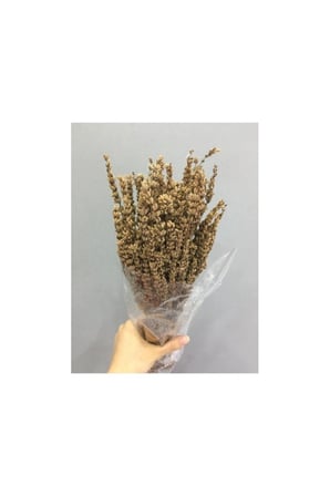 Lavanta Şoklanmış Kokulu Naturel Hardal Renk 40-50 cm
