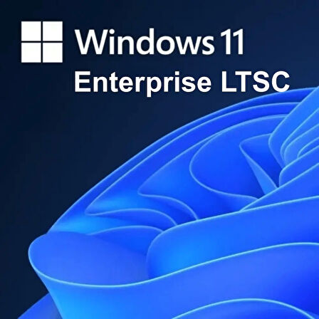 Windows 11 Enterprise LTSC Lisans Key