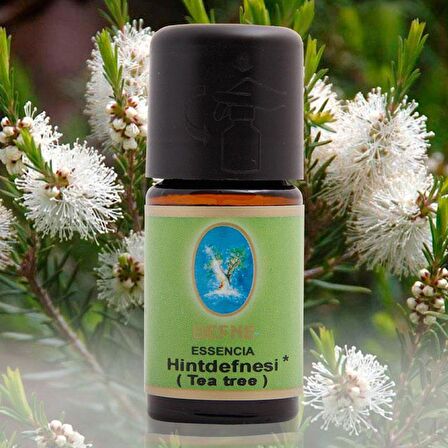 Nuka Organik Hint Defnesi (tea tree) Yağı - Çay Ağacı Yağı 10 ml.