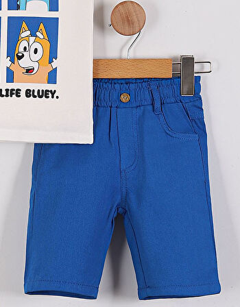 Erkek Çocuk For Real Life Bluey Baskılı Tişört Şort 2'li Takım