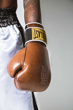 Everlast 1910 Classic Training Gloves BRN 12OZ Boks Eldiveni 870402-70-9