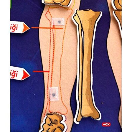 Tox İskelet Sistemi Keçe Duvar Panosu , Eğitici Oyuncak