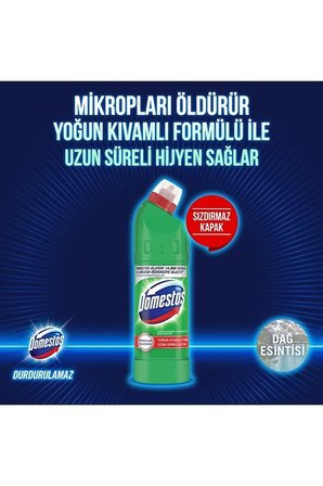 DOMESTOS Çamaşır Suyu Dağ Esintisi 750 ml x3 Adet