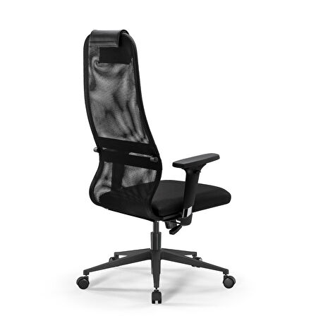 Ergolife Sit 8 Ergonomik Fileli Yönetici Koltuğu / Ofis Sandalyesi - DA.D.1.243 Siyah