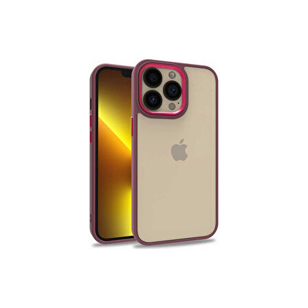 Teleplus iPhone 13 Pro Kılıf Flora Sert Silikon Arkası Cam Şeffaf Kırmızı