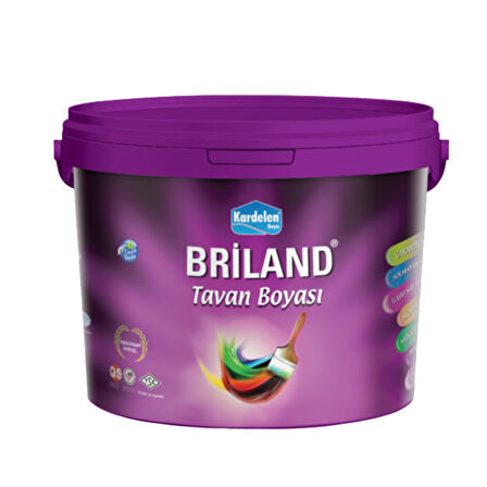 Kardelen Boya Briland Tavan Boyası Beyaz 10 Kg