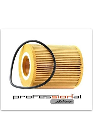 GVA Yag Fıltresı 306DT Dıscovery 4 L319 09 18 Dıscovery 5 L462 16 R.r 4 L405 13 R.r