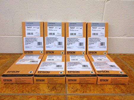 Epson T6027 C13T602700 Açık Siyah Kartuş