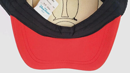 Tokyo Disney Resort Mickey Mouse Kulaklı Genç Boy Şapka Snapback Hatıra Şapka-Japonya (Orjinal)