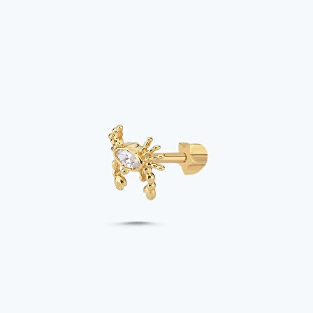 Altın Tragus Yengeç Piercing