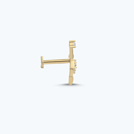 Altın Tragus Zeytin Dalı Piercing