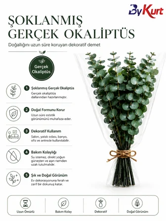 Şoklanmış Gerçek Okaliptüs Demeti Dekoratif Kuru Çiçek Vazo ve Ev Ofis Dekoru