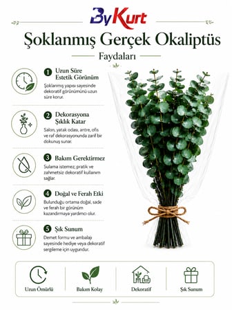 Şoklanmış Gerçek Okaliptüs Demeti Dekoratif Kuru Çiçek Vazo ve Ev Ofis Dekoru
