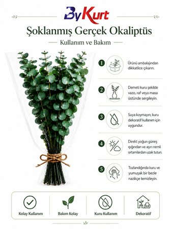 Şoklanmış Gerçek Okaliptüs Demeti Dekoratif Kuru Çiçek Vazo ve Ev Ofis Dekoru