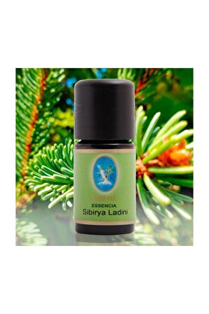 Sibirya Ladini Yağı 5 ml. (naturel Damıtma)