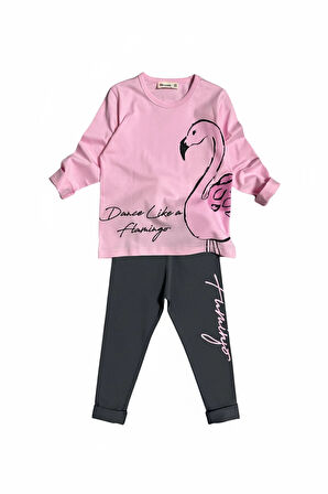Flamingo Desenli Pembe Renk Kız Çocuk Mevsimlik Taytlı Takım