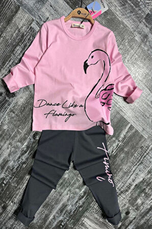 Flamingo Desenli Pembe Renk Kız Çocuk Mevsimlik Taytlı Takım