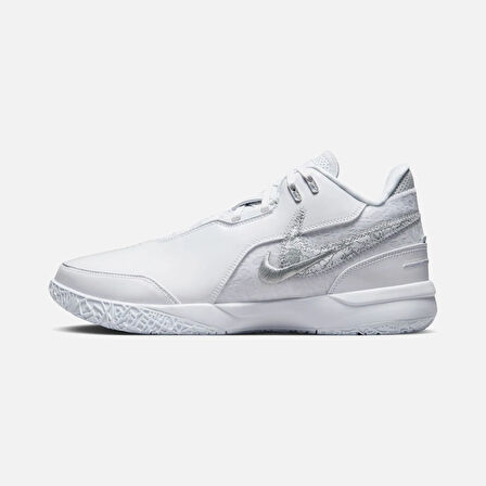 Nike LeBron James NXXT Gen AMPD FJ1566-102
