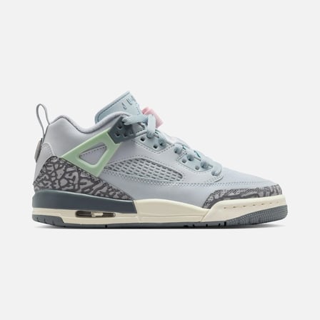 Nike Air Jordan Spizike Low  FQ3950-401 