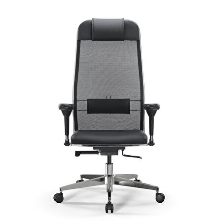 Ergolife SynchroSit 10 Ergonomik Deri ve Fileli Yönetici Koltuğu / Ofis Sandalyesi - 1F6.7.1.544 Siyah