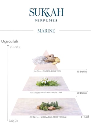 Marine Erkek Parfüm EDP 50ml – Odunsu Kokusu ile Kalıcı ve Elegant Maskülen İmza Koku